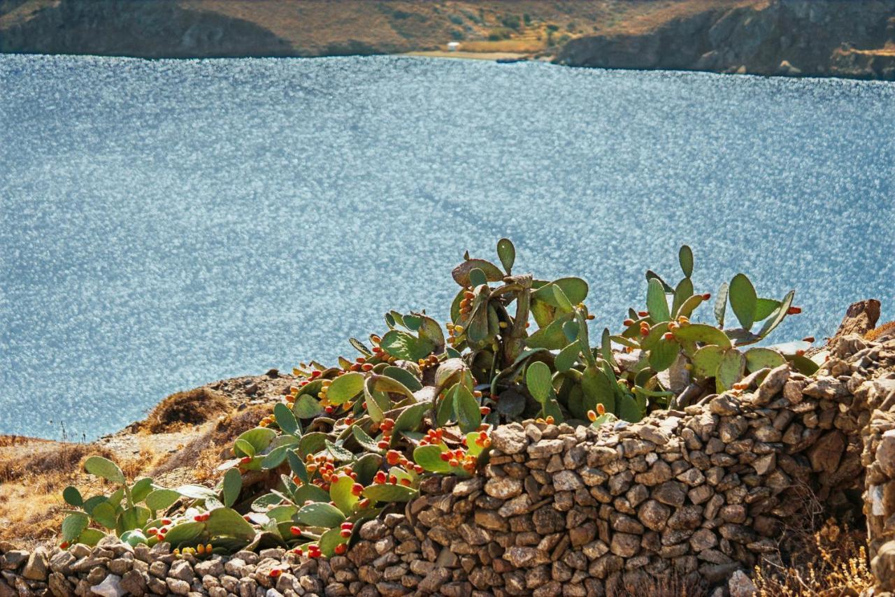 Andromeda Resort Astypalaia Bagian luar foto